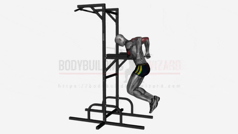Dips (Chest Version) demonstration
