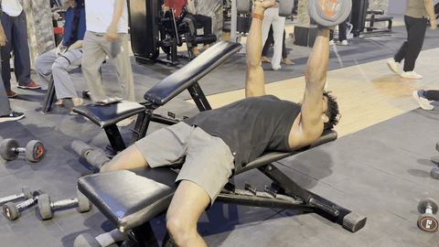 Flat Dumbbell Press demonstration